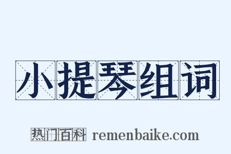 小提琴组词是什么意思的图片